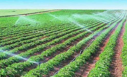 喷逼网站农田高 效节水灌溉